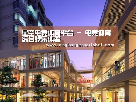 案例展示一(图1)
