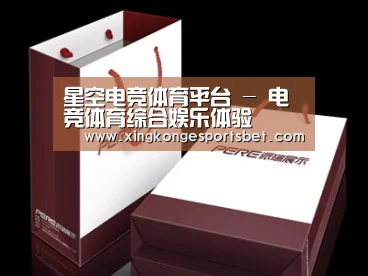 项目名称十二