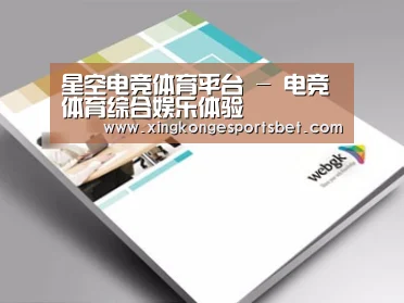 项目名称九
