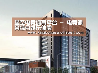 案例展示七