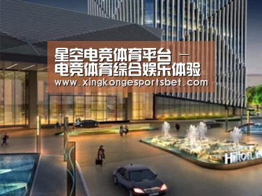 案例展示二